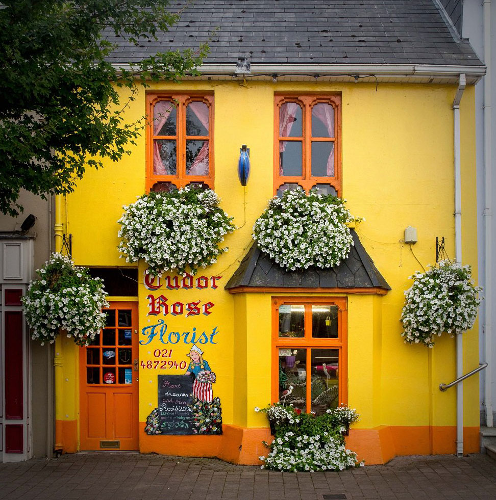 tudor-rose-florist